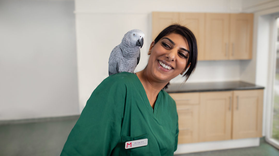 Nurse smiling with bird on shoulder