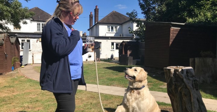Denise Turner Clinical Operations Manager with Labrador in garden