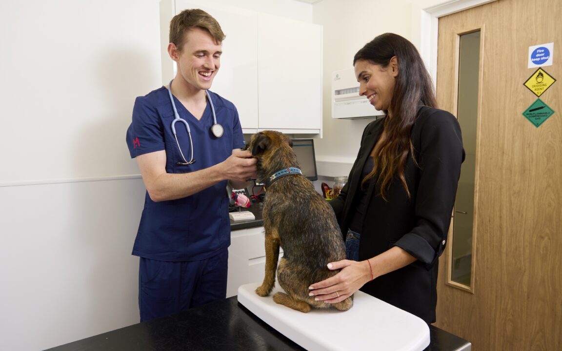 The image shows a female client lightly holding her pet dog on the consult table while a male vet is running assessments.